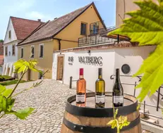 Spahotel Resort Valtberg Valtice - Valtice, Tjekkiet