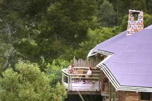 Romantisk hotel Tsala Treetop Lodge - Plettenberg-bugten, Sydafrika