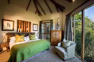Romantisk hotel Tsala Treetop Lodge - Plettenberg-bugten, Sydafrika