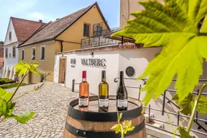 Spahotel Resort Valtberg Valtice - Valtice, Tjekkiet