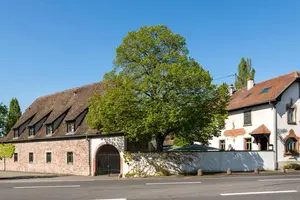 Spahotel Hotel Restaurant De l'Illwald - Selestat, Frankrig