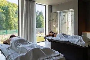 Spahotel 6717 Nature Hôtel & Spa Le Clos des Délices - Ottrott, Frankrig